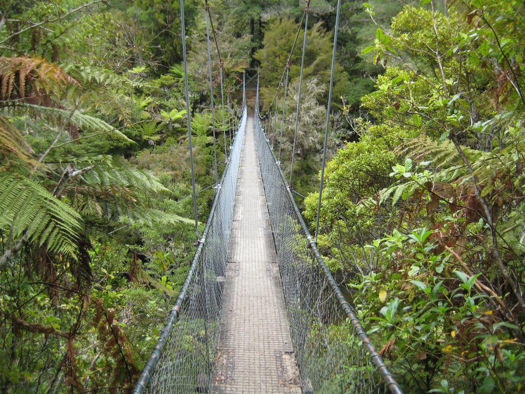 Falls River Rope Bridge by Kreuzbube