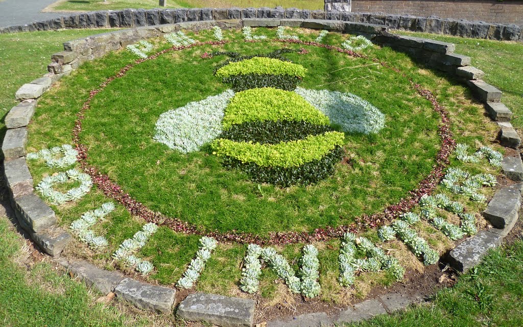 Bee garden, colwyn bay, north wales. july 2013. by Michael & Grace.