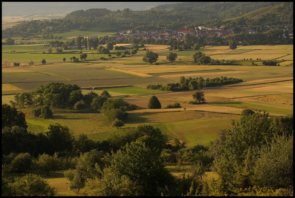 Aussicht nach Unterjesingen by ~~~ Thomas ~~~