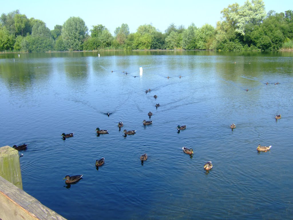 Clayton Hill Country Park Lake by Severous