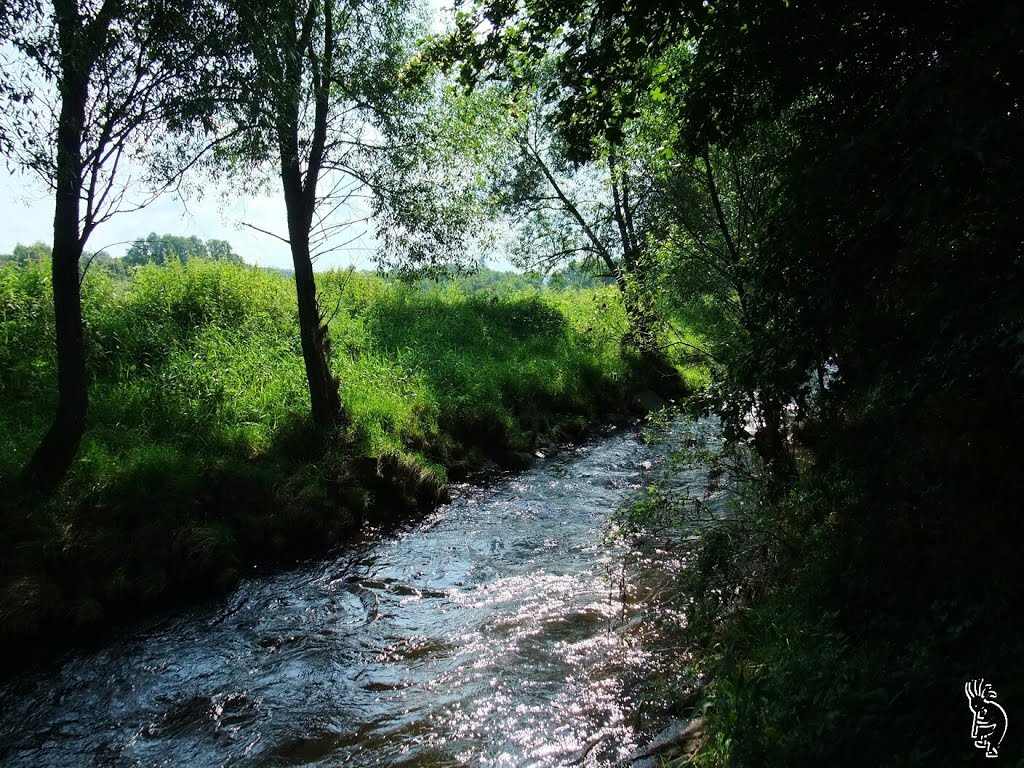 Blick über die Maltsch nach Tschechien by Roman M.