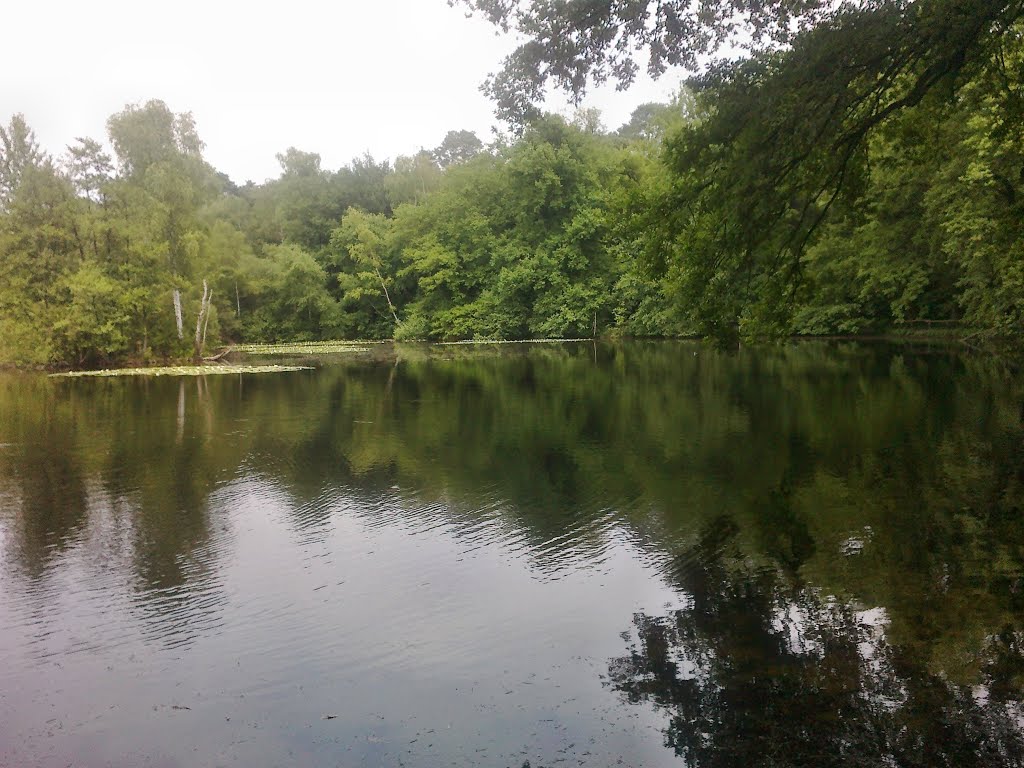 Leyenweiher by ©schw@bendude