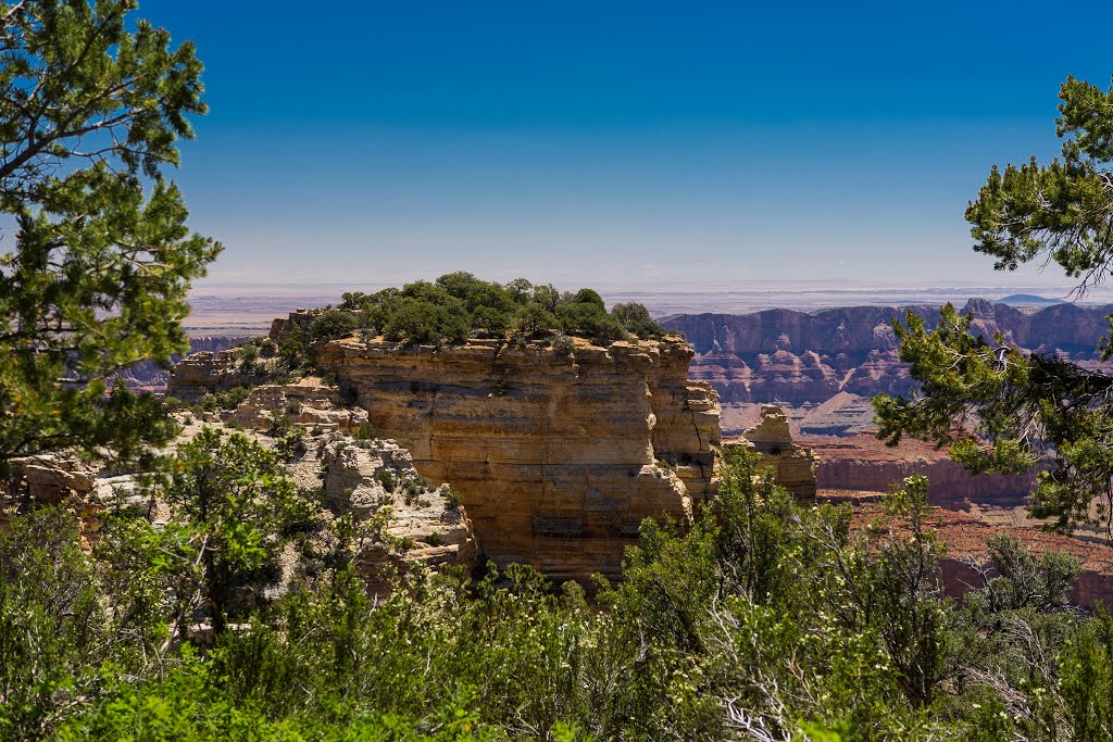 Cape Royal, North Rim, Grand Canyon National Park, Arizona by Richard Ryer