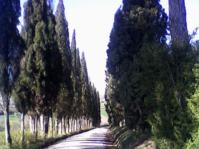 Strada per i campi Elisi - Ripe - Italy by acda76