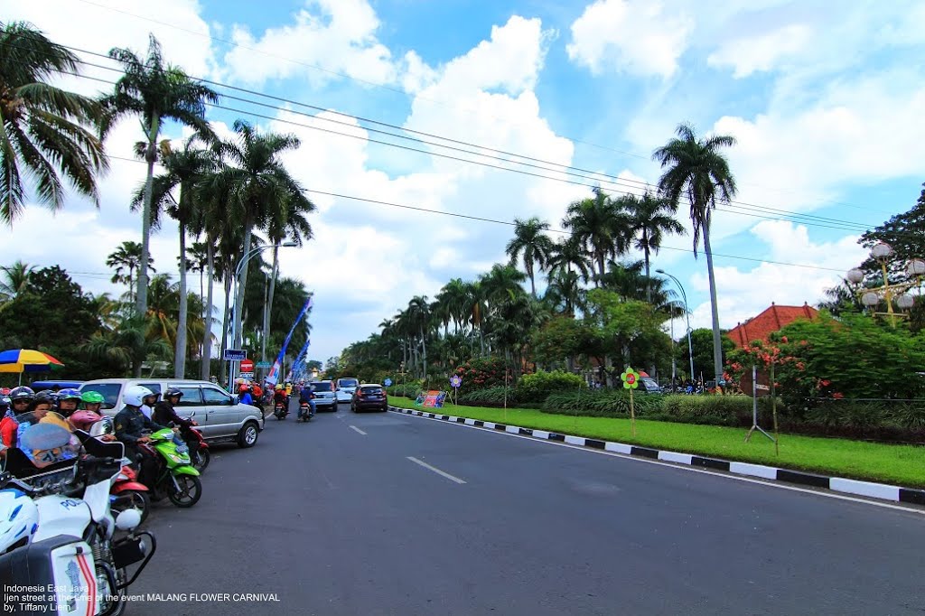 Ijen street in the city of Malang, at the time of the event MALANG FLOWER CARNIVAL by Tiffany Liem