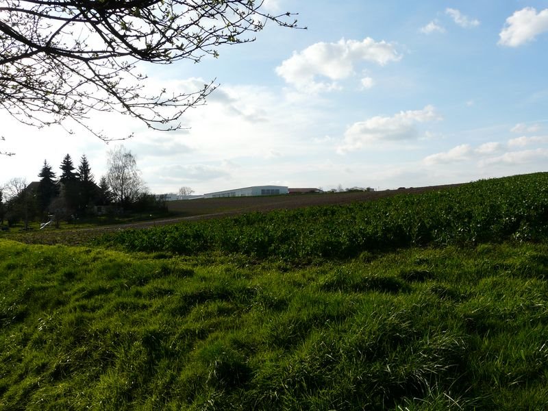 Leisnig, Brösener Weg Blick zum Gewerbebebiet by Walter Stuber