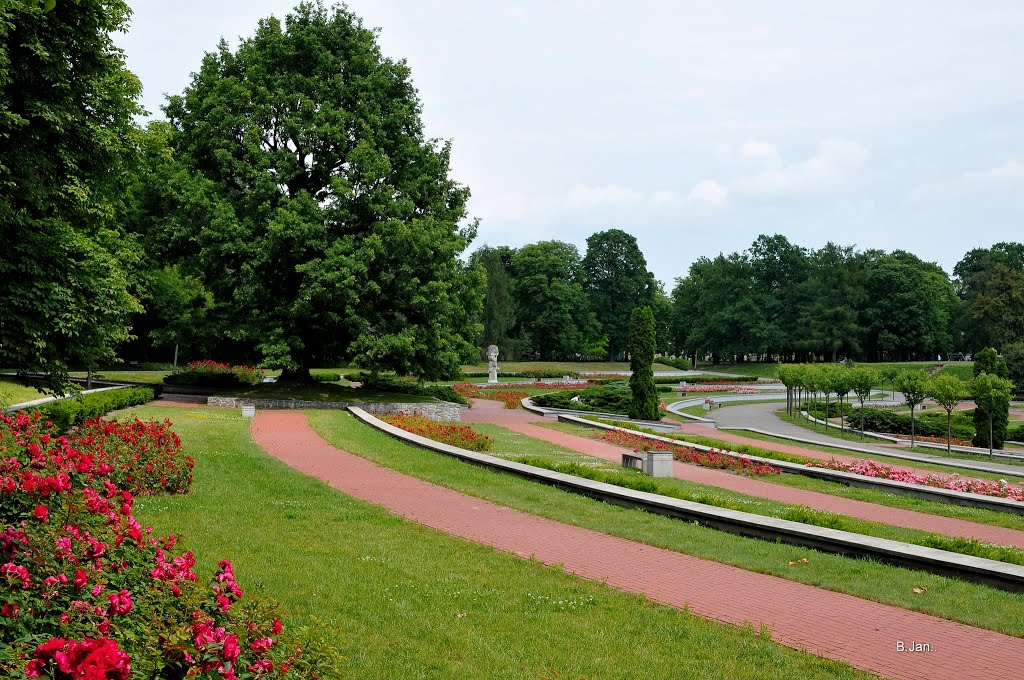 Poznań, Park Cytadela - rosarium by BernardJ47