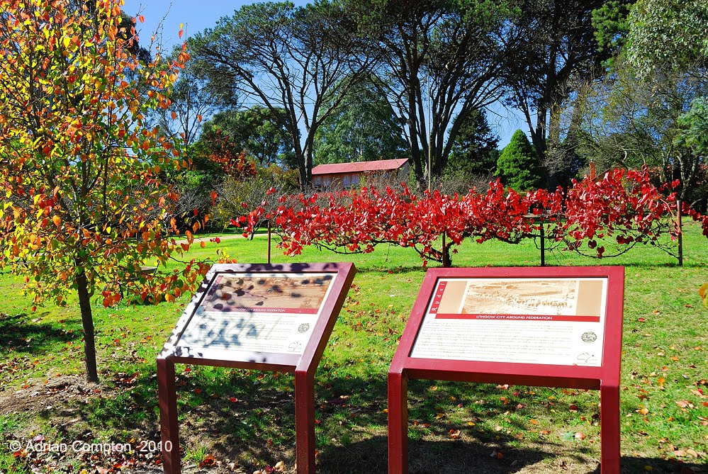 Historical information on the area, Rydal, NSW. April 2010 by Adrian Compton