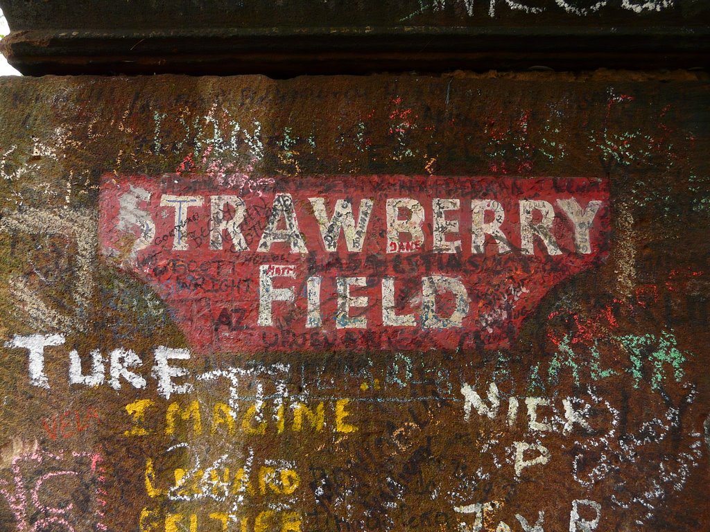 Strawberry field !!!!!!! by Nicolas Aubé