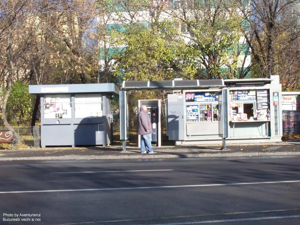 Str. Constantin Brâncuși by Aventurierul