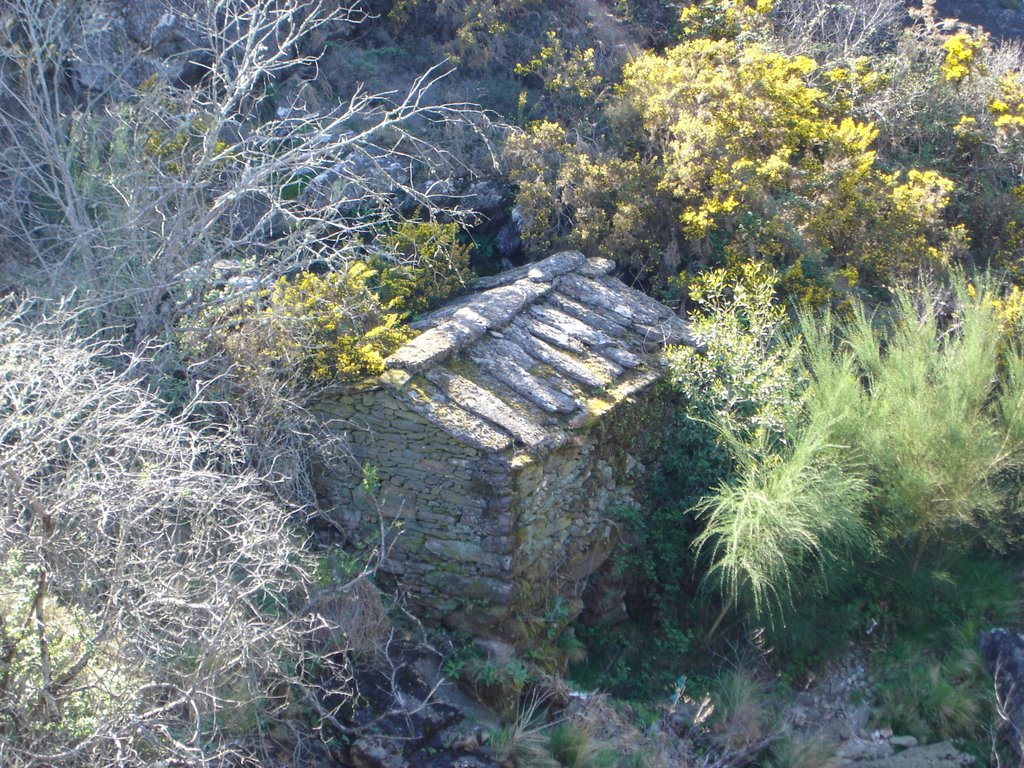 Serra D'arga (azenha) by Abel M. Queirós