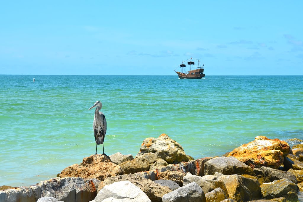 TREASURE ISLAND, FL by Trude Rini Forde