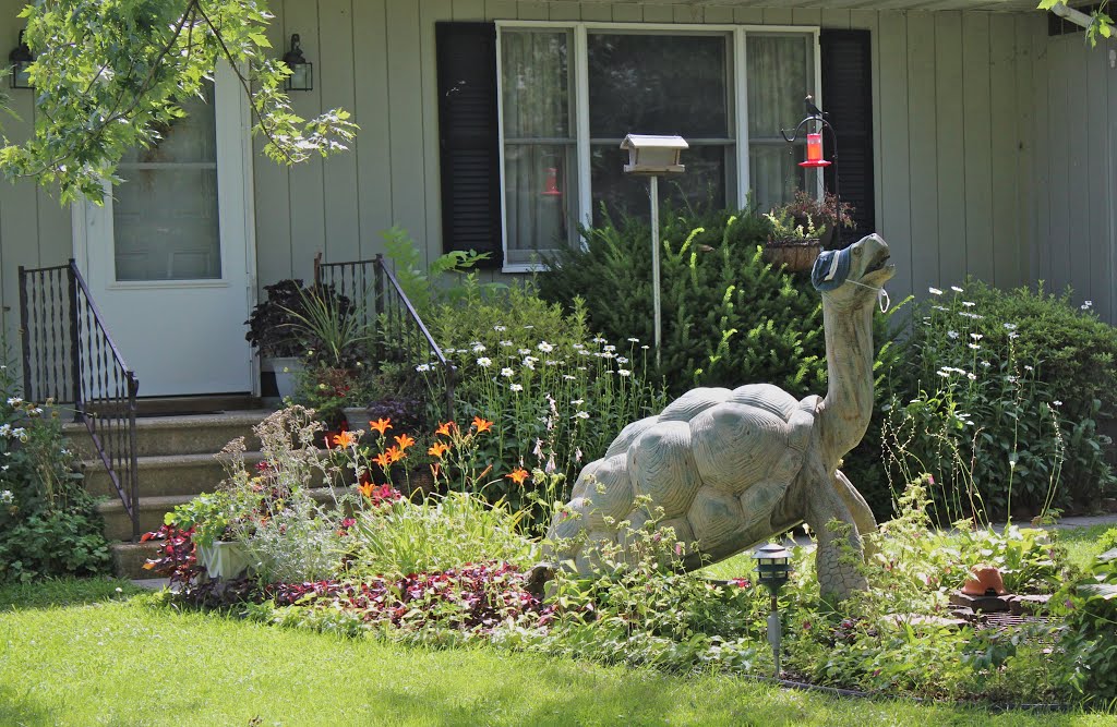 Unusual lawn ornament by gene.alderson