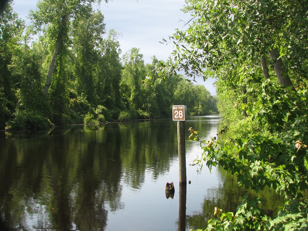 Great Dismal Swamp by jamoke