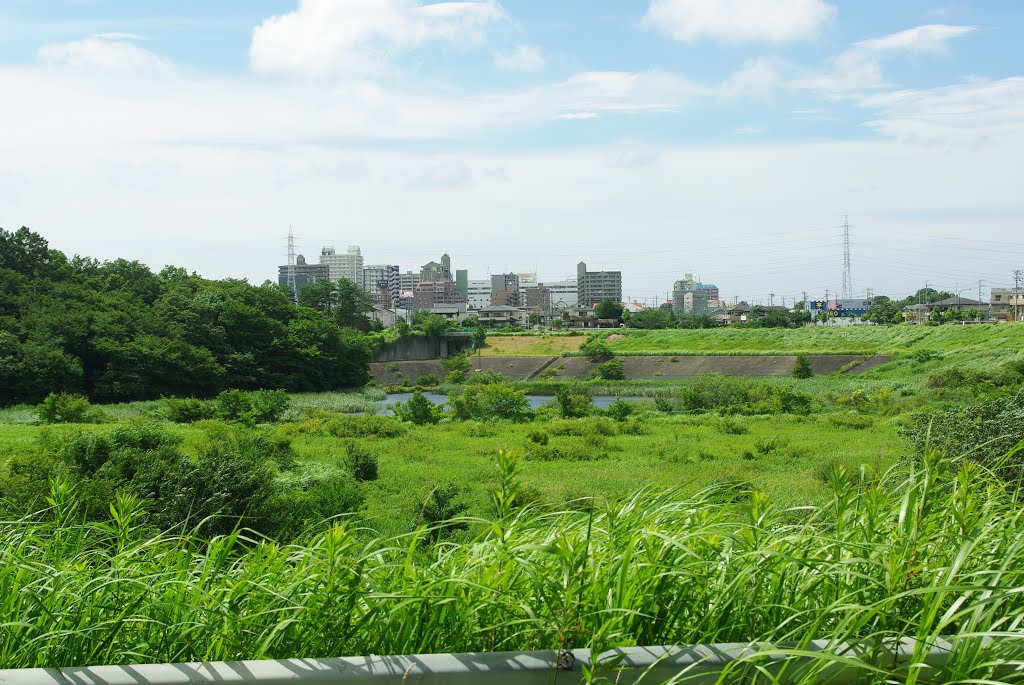 Miyako-gawa regulating pond/都川調整池(2013-07-06) by matsumushi