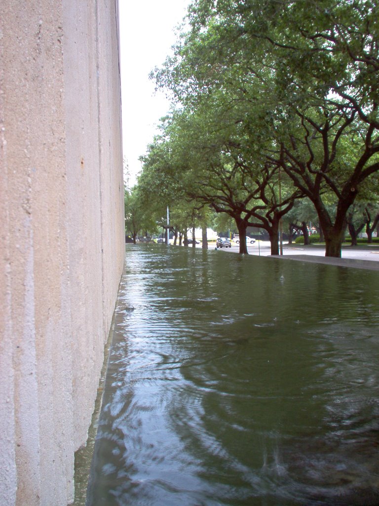 Houston - Espejo de Agua en el Museo by ivansukou22