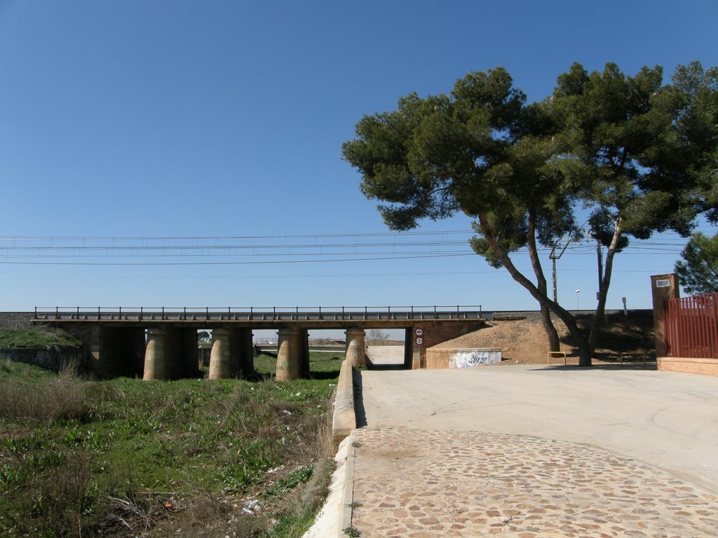 Los cinco puentes by Joseanto