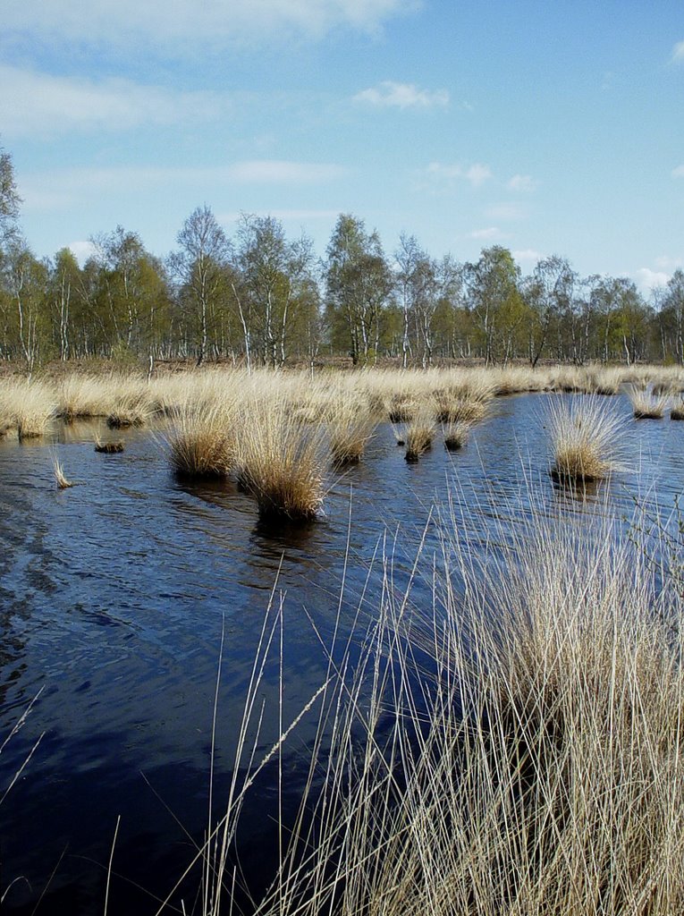 Deurnsche Peel, Griendtsveen-Helenaveen by uaf