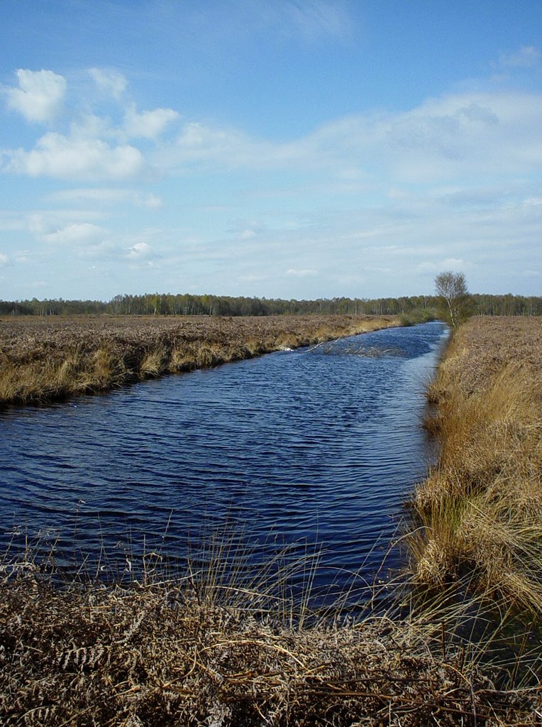 Deurnsche Peel, Griendtsveen-Helenaveen by uaf