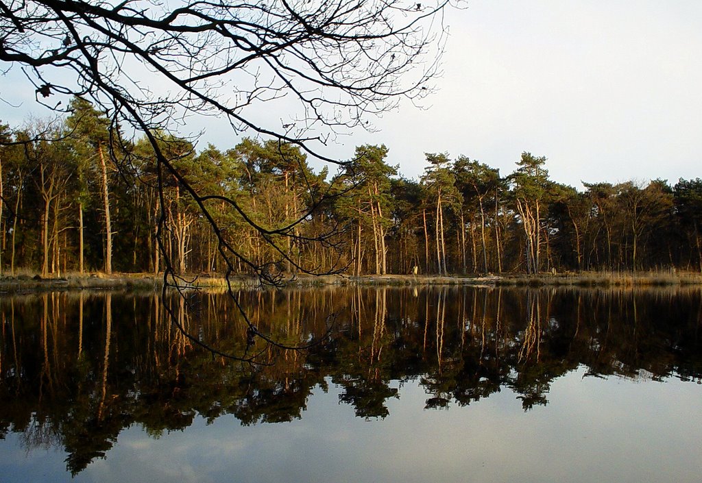 Sunset, De Meer, Stiphoutse Bossen, Stiphout (Helmond) by uaf