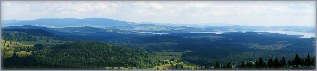 Böhmerwald und Moldaustausee by © DiSp Photography