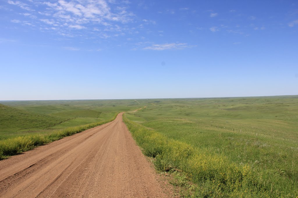 High Plains, Cheyenne River Reservation, Soth Dakota USA by Will Reed