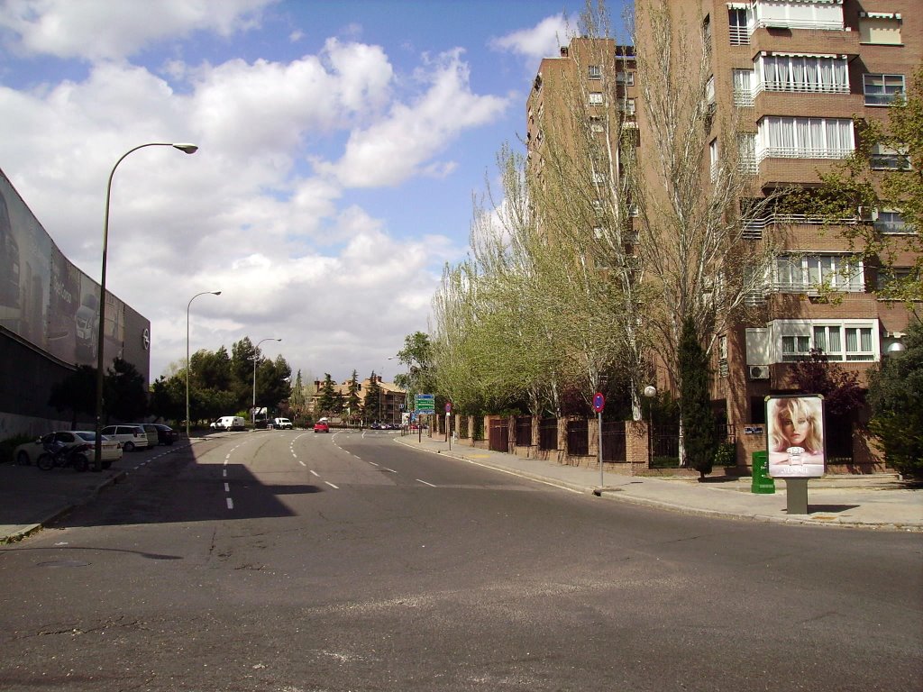 Calle de López de Hoyos by Ricardo Ricote Rodriguez