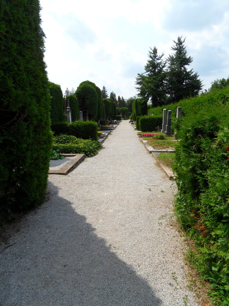 Varaždinsko groblje, - Cemetery - Varasd, temető by Lorant