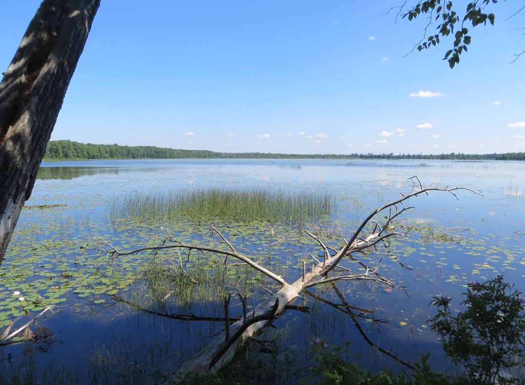 Marl Lake, Roscommon, MI by UnagiUnagi