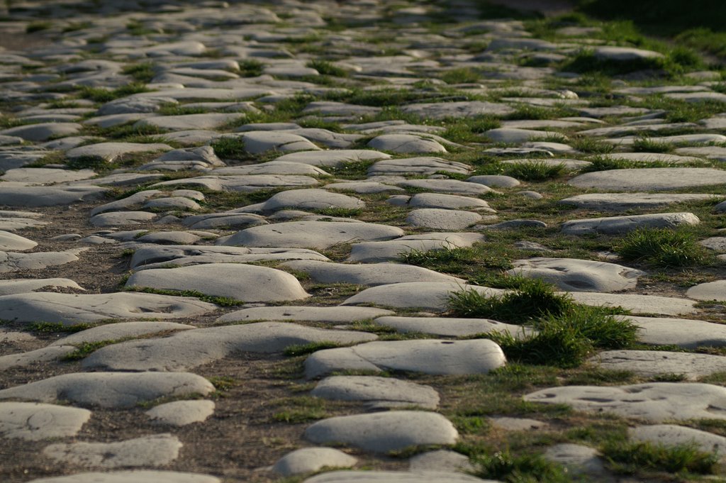 Way to ostia by andy n