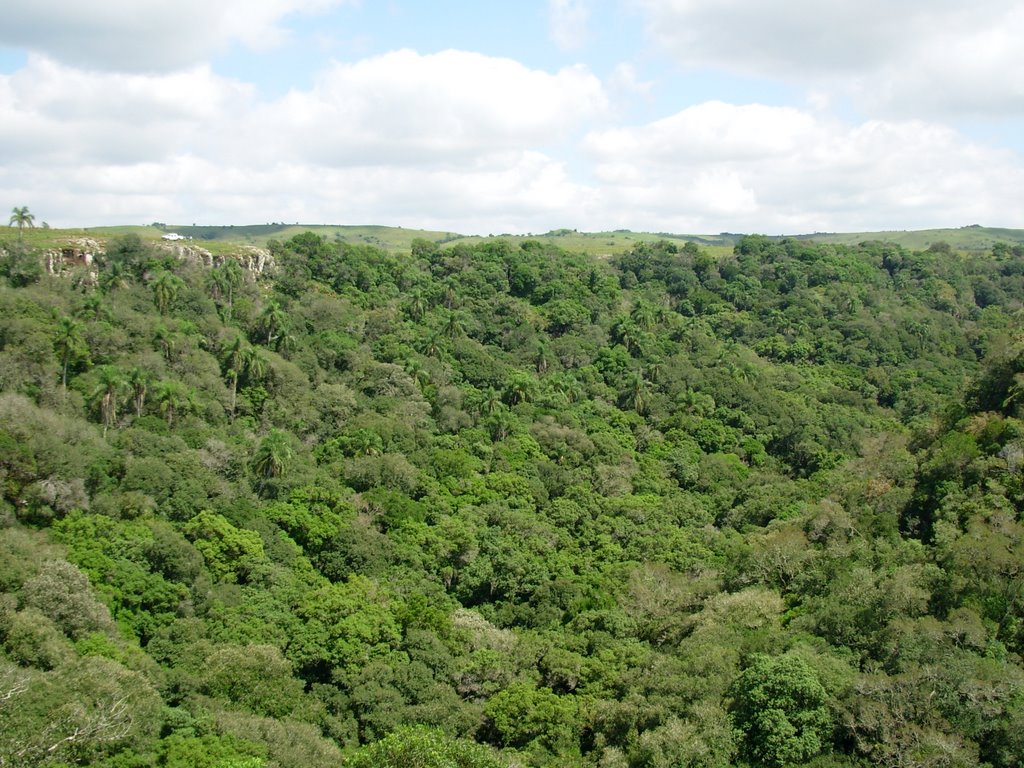 "Bosque de Quebrada" Sierra del Infiernillo TACUAREMBO by Juan Pablo Nebel Fue…