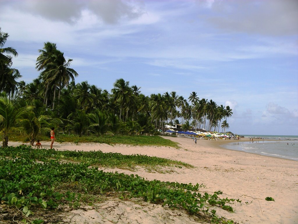 Praia do forte cerca de Salvador by carlosmm