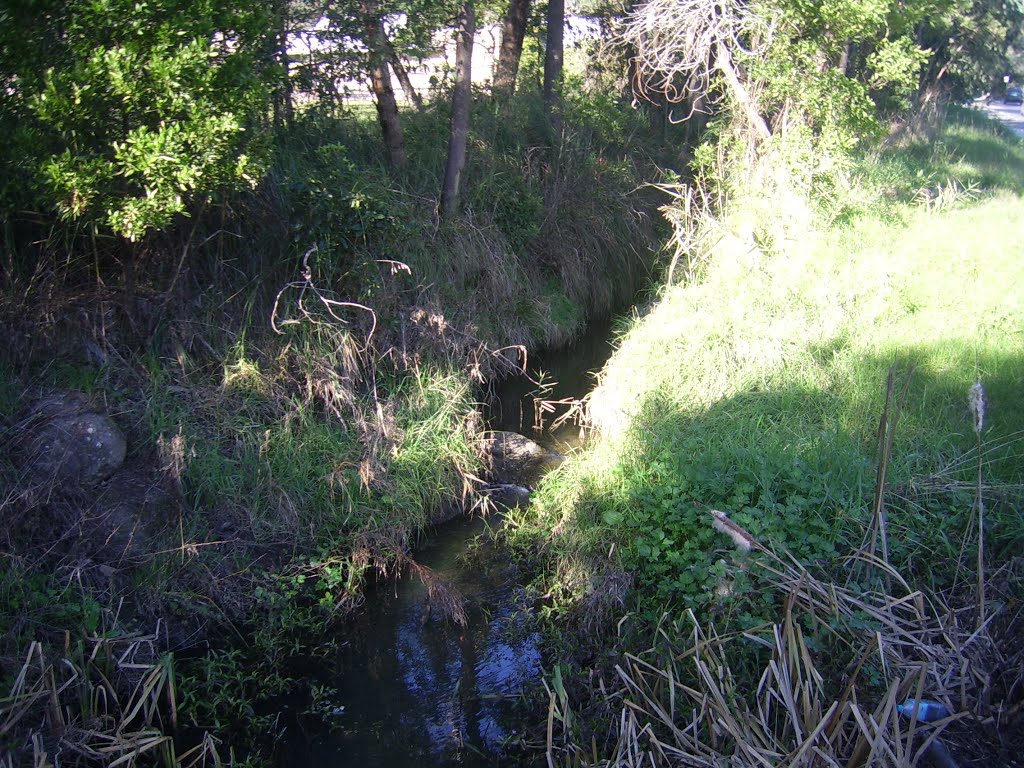 Unnamed Feeder Stream of Olinda Creek by VICPhotoSurvey