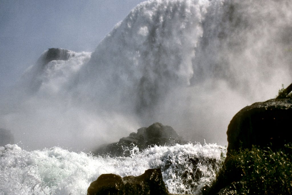 You Can Feel The Power of the Water by Hank Waxman