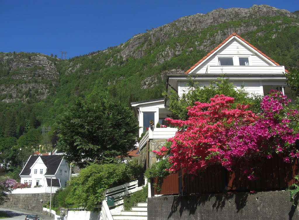 Beautiful houses and flowers a sunny day in june by Mona Lygre