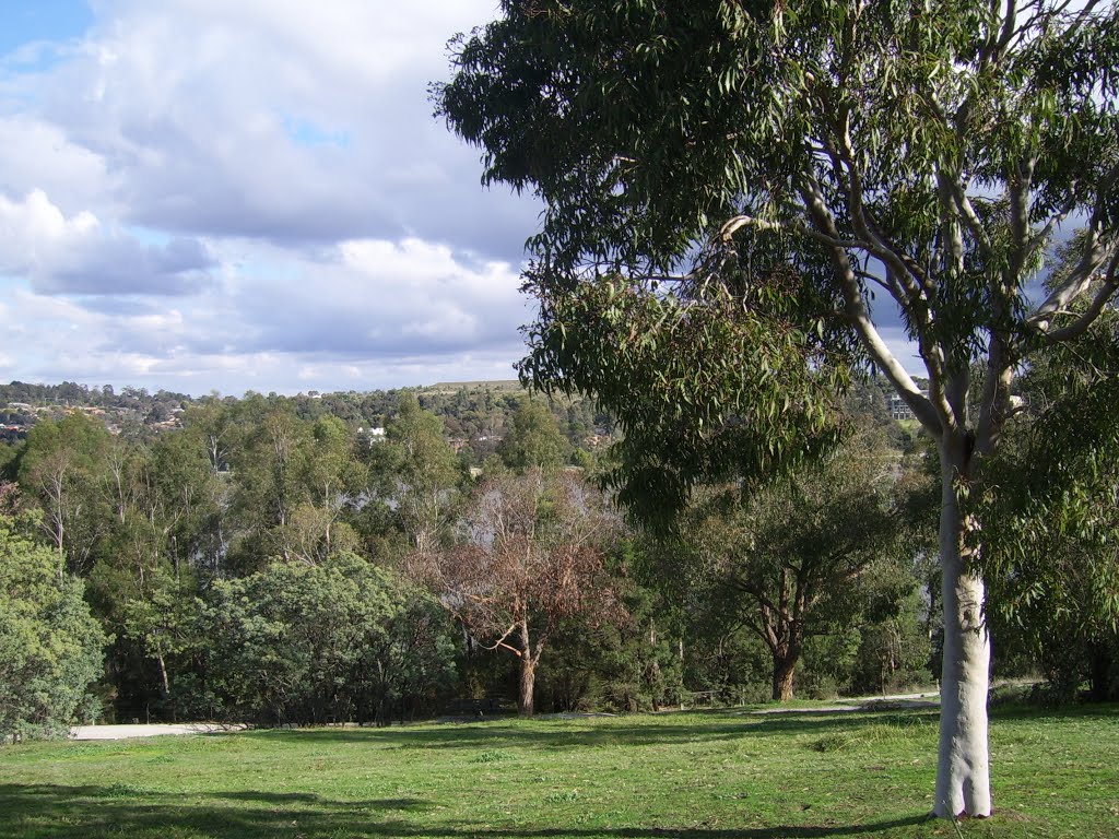 Lilydale Lake Park look Around #2 by VICPhotoSurvey