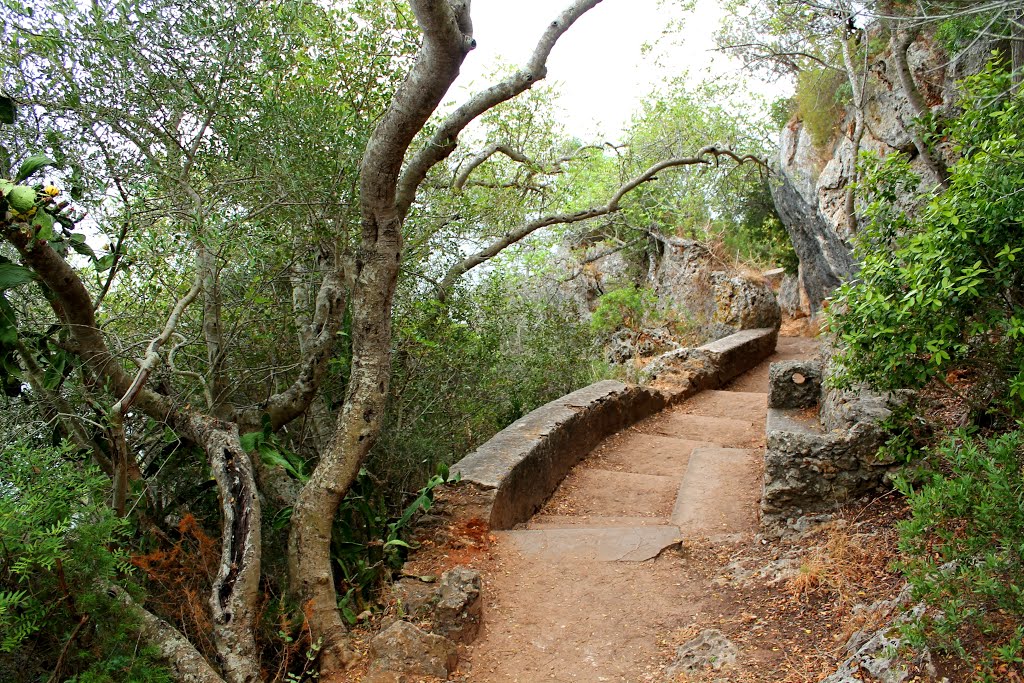 Caminho para a Gruta de Santa Margarida, na Arrábida by Margarida Bico