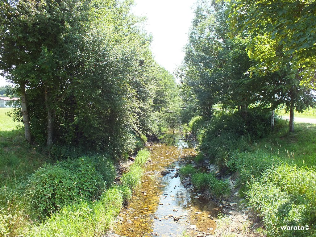 Zell - Gemeinde Rot an der Rot > Blick von der Brücke über die Rot (i) by warata