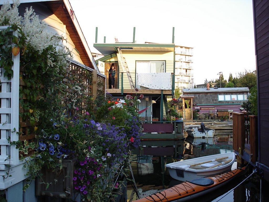 House Boats, Victoria by jwalm