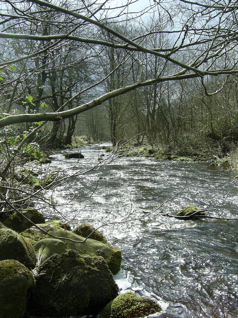 River Taff Fechan by welshgog