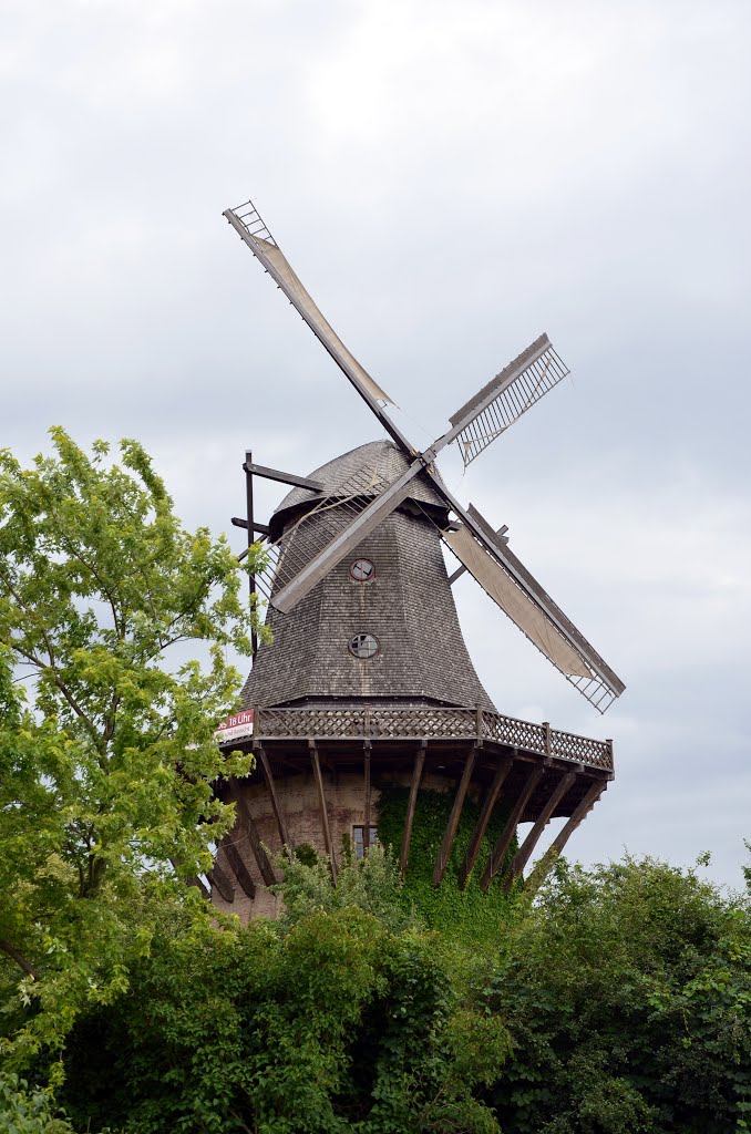 Windmill, Sanssouci Park, Potsdam (UNESCO) by tu.andy