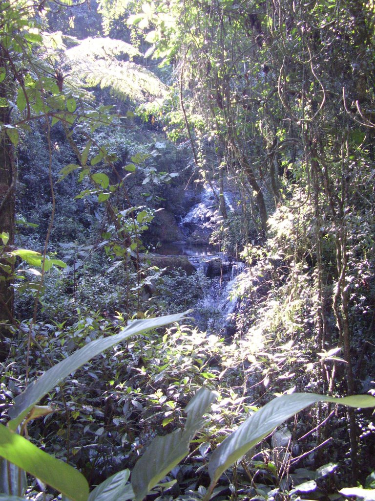 Uma das cachoeiras da trilha do Núcleo do Engordador na Serra da Cantareira - São Paulo - SP by Maurício P. Alves