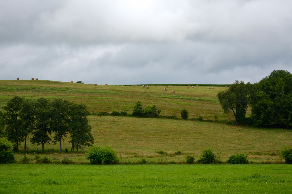 Maryland Farmland by Lori Bogedin