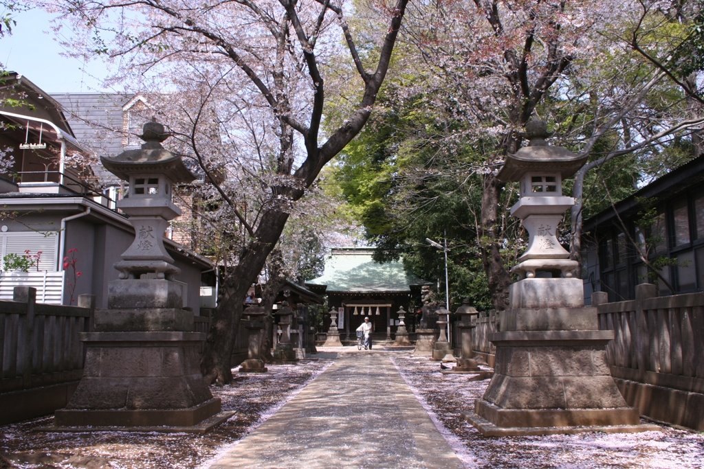 神明社1(SHINMEI-SHA Shrine) by Tomo Satoshy