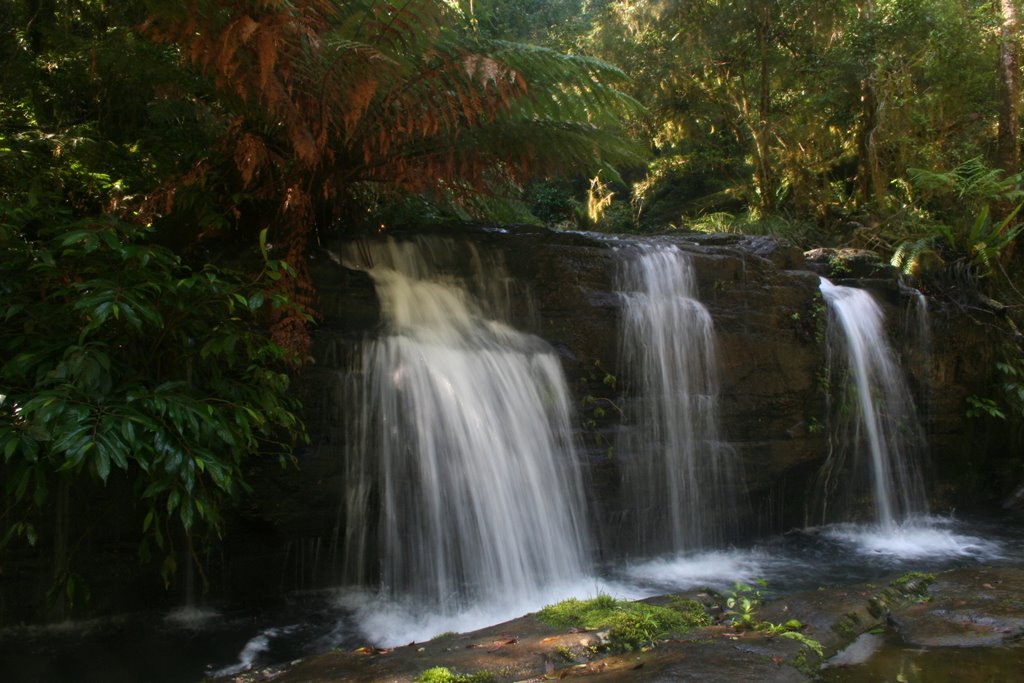 Williams River Waterfall by Rob Freijs