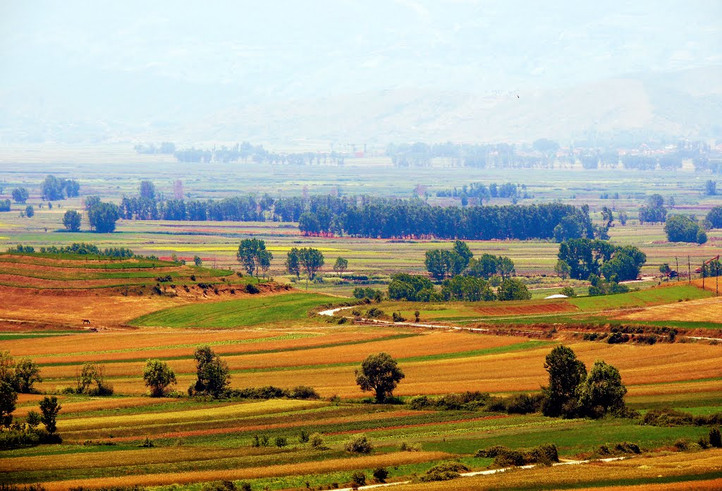 Albania: Podgorie! by Sofjan Kotorri