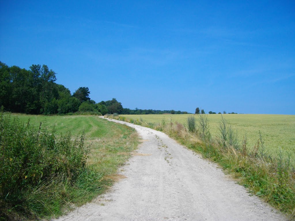 Chemin aux champs d'Indrèze sur Thiancourt by Claudius B.