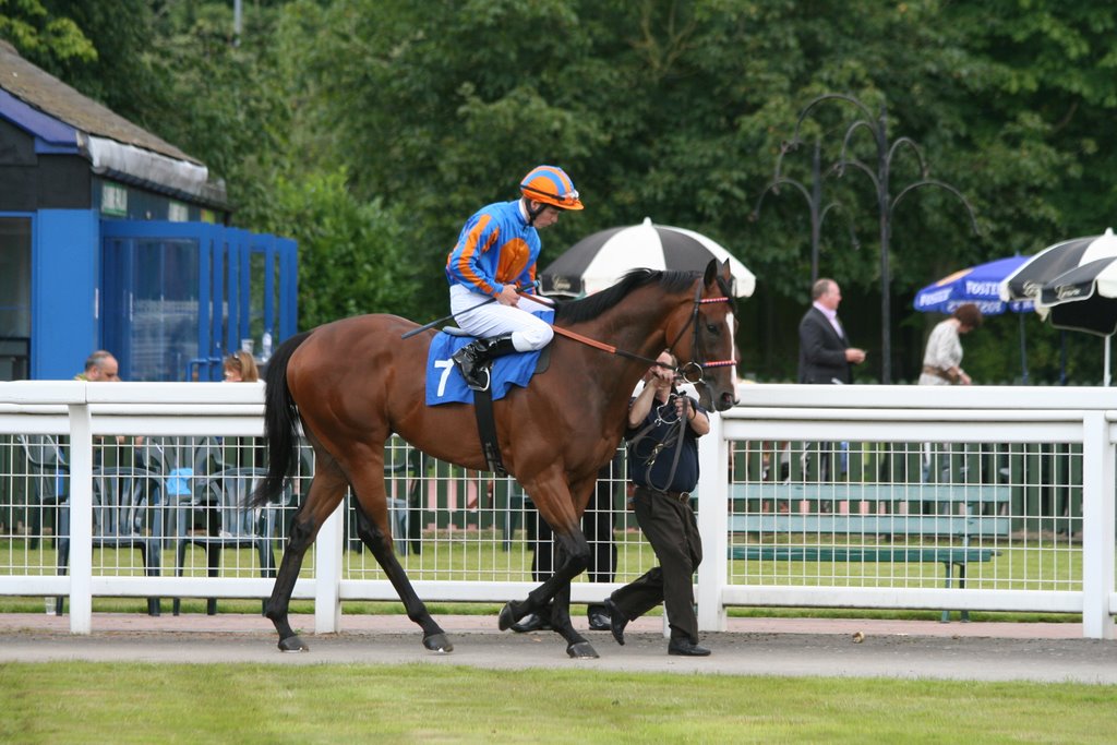 Kerrin McEvoy getting ready to race at Nottingham Racecourse by Nottingham Racecours…