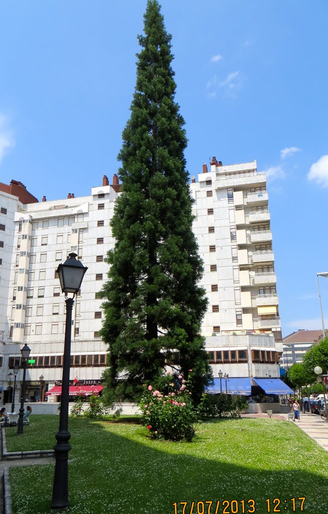 Bizenta Mogel Kalea. Vitoria-Gasteiz. España. by María Fernando