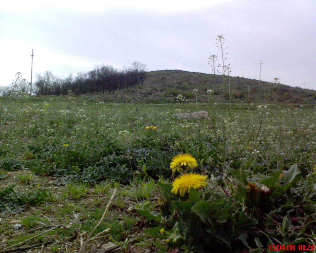 Kosova-Gjilan-Velekincë-Lagjja e Blinishtes në Pranverë-15 by KONTRATA.int (Facebo…